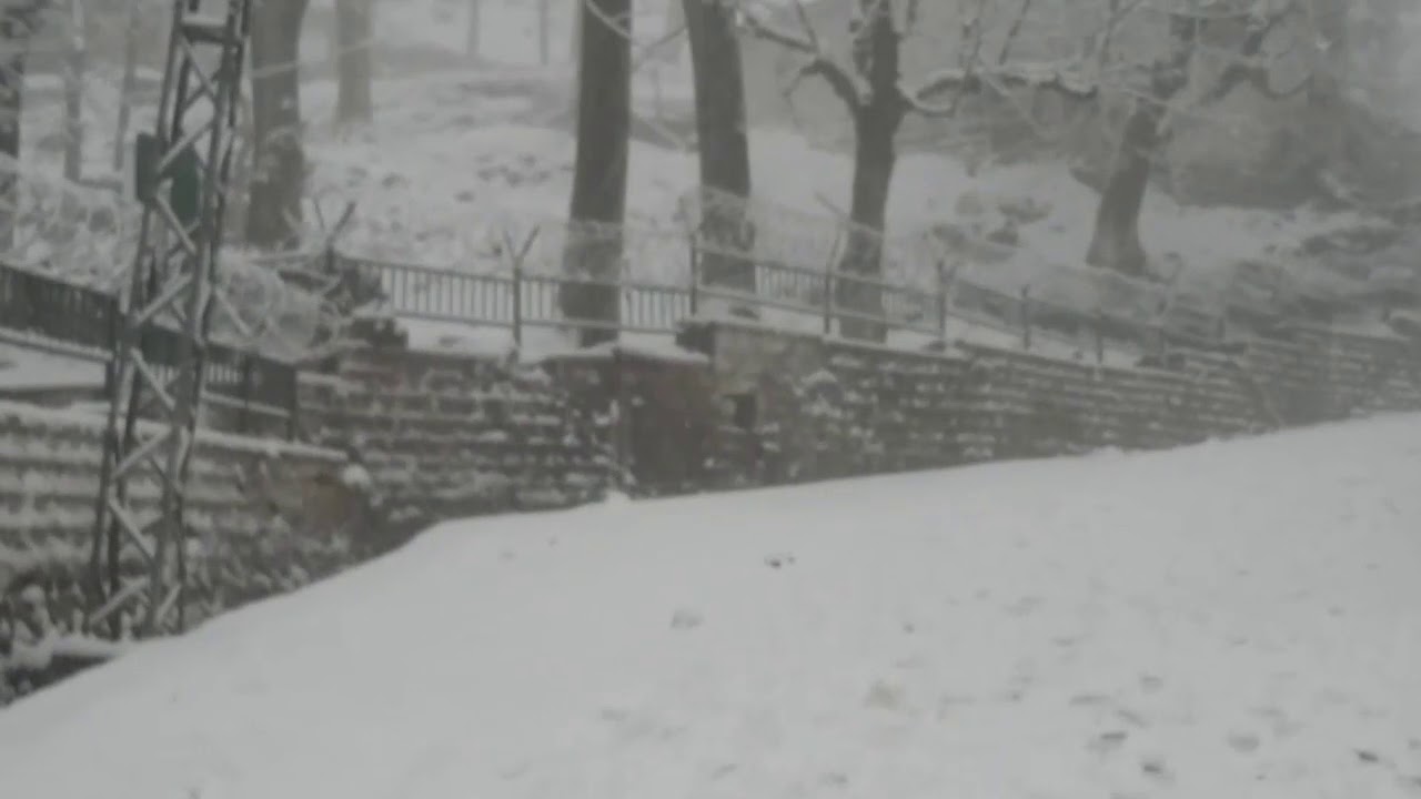 Murree snowfall