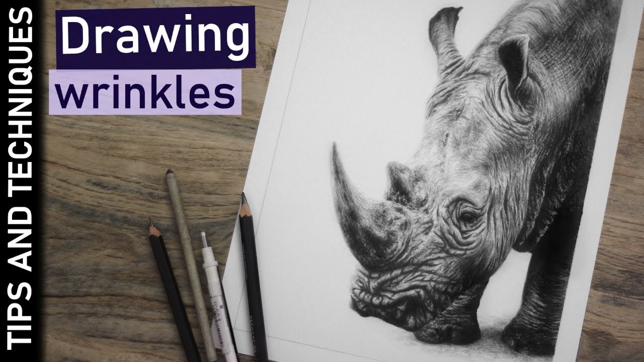 Rhino graphite drawing | Tips for drawing realistic wrinkles