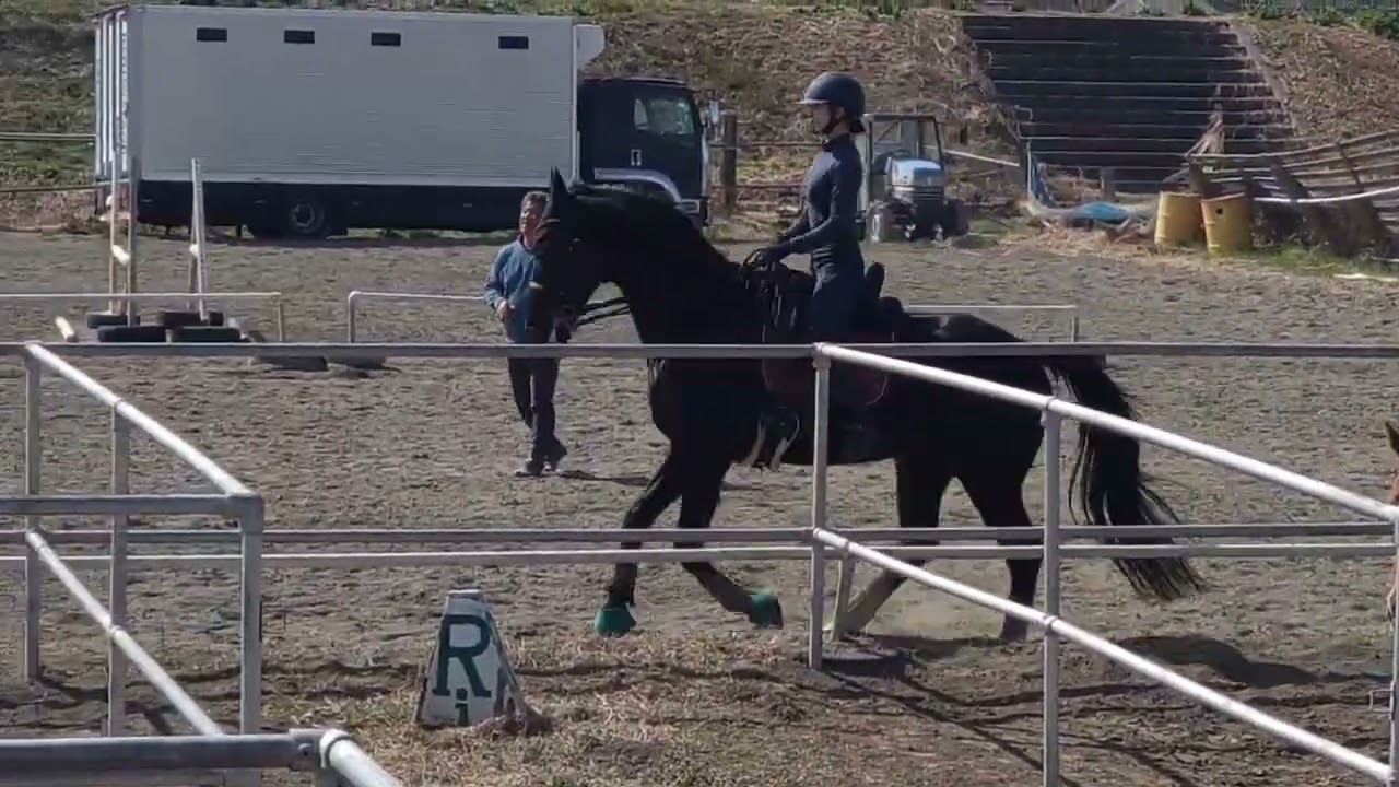2026.3.1リ2