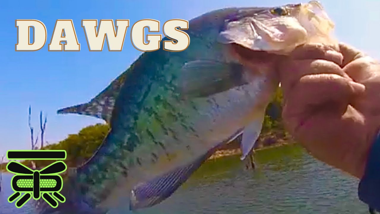 Кучки хвороста для ловли краппи [Рыбалка с Фредо]