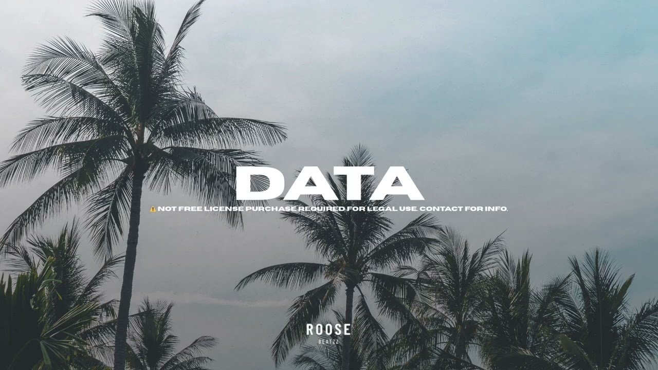 DATA | Afro Beat Instrumental Type Beat 2026