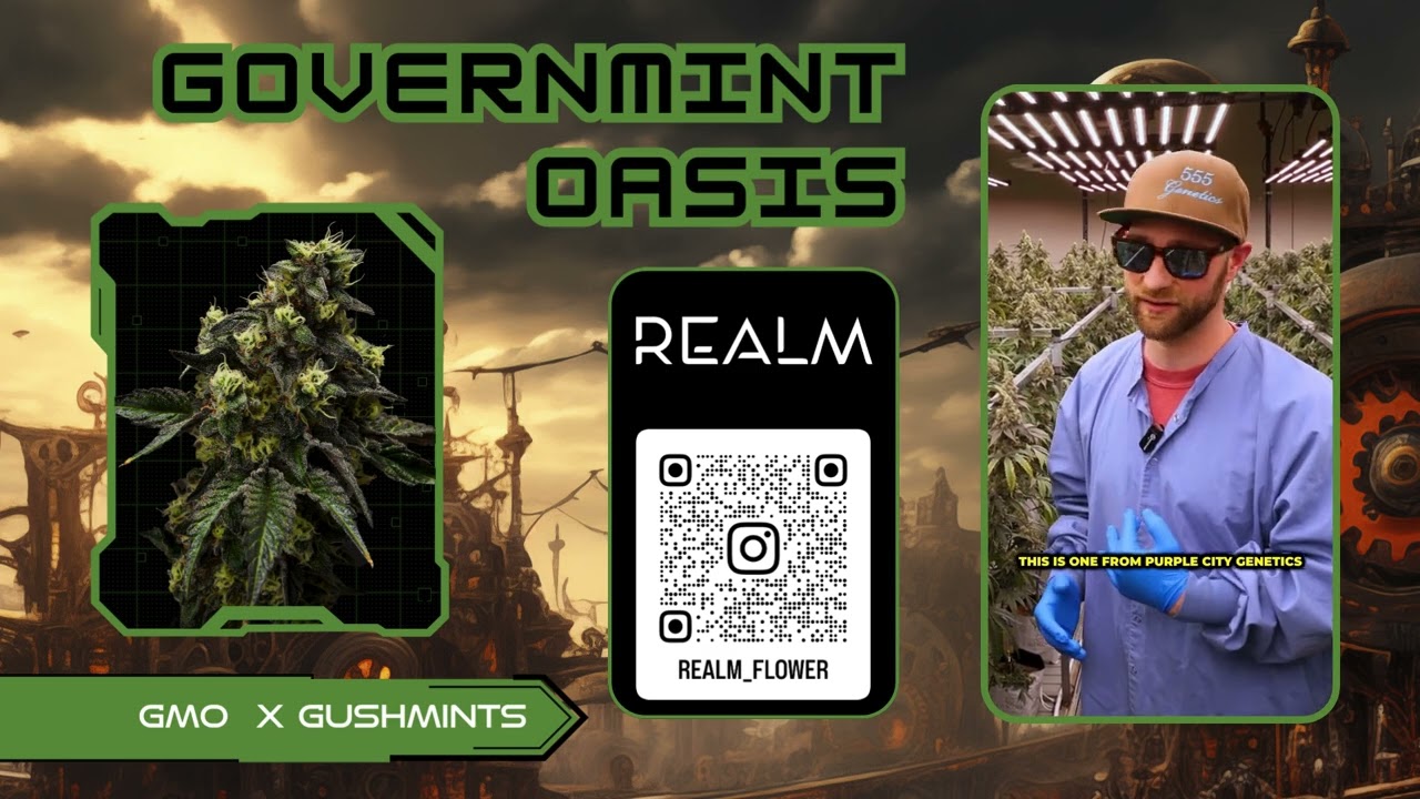 Fuel Realm: Governmint Oasis