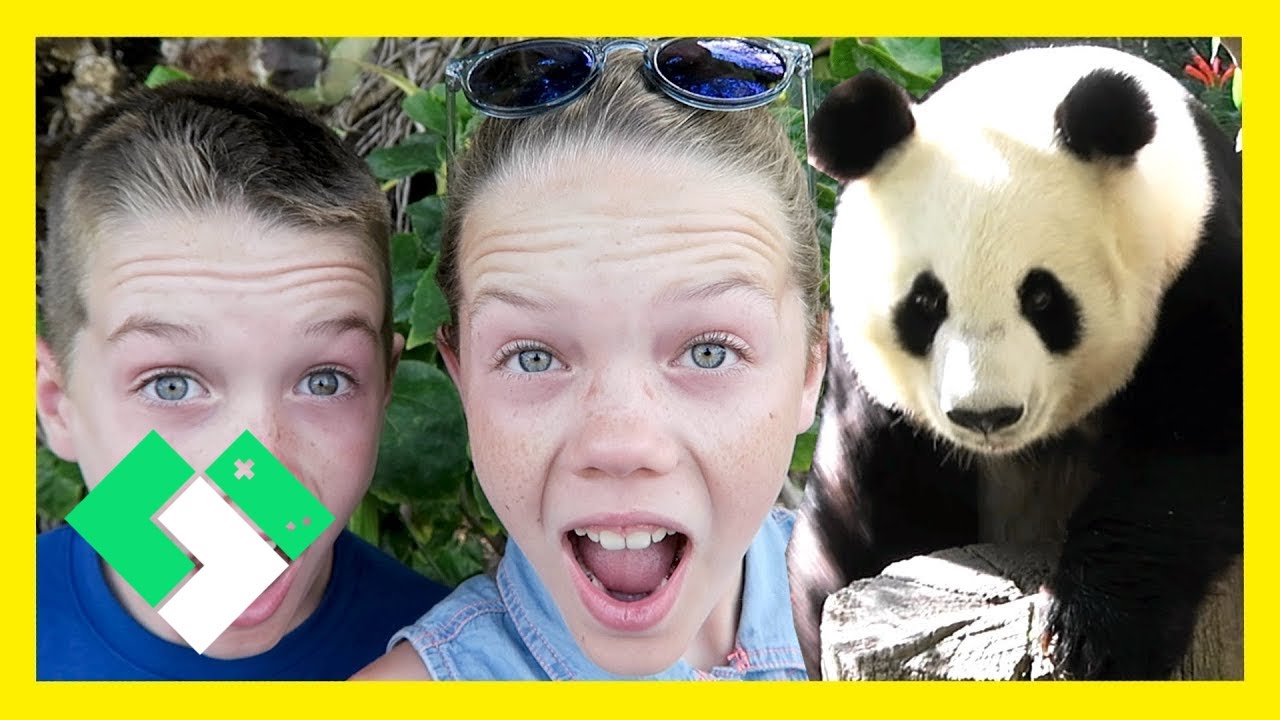 KIDS SEE PANDAS FOR FIRST TIME (Day 1536) | Clintus.tv