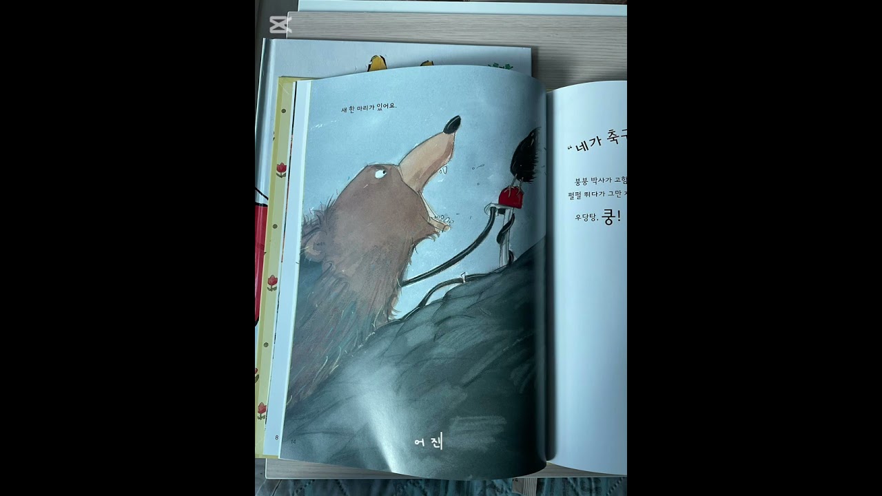 잠자리 독서 붕붕박사는 알 수가 없어