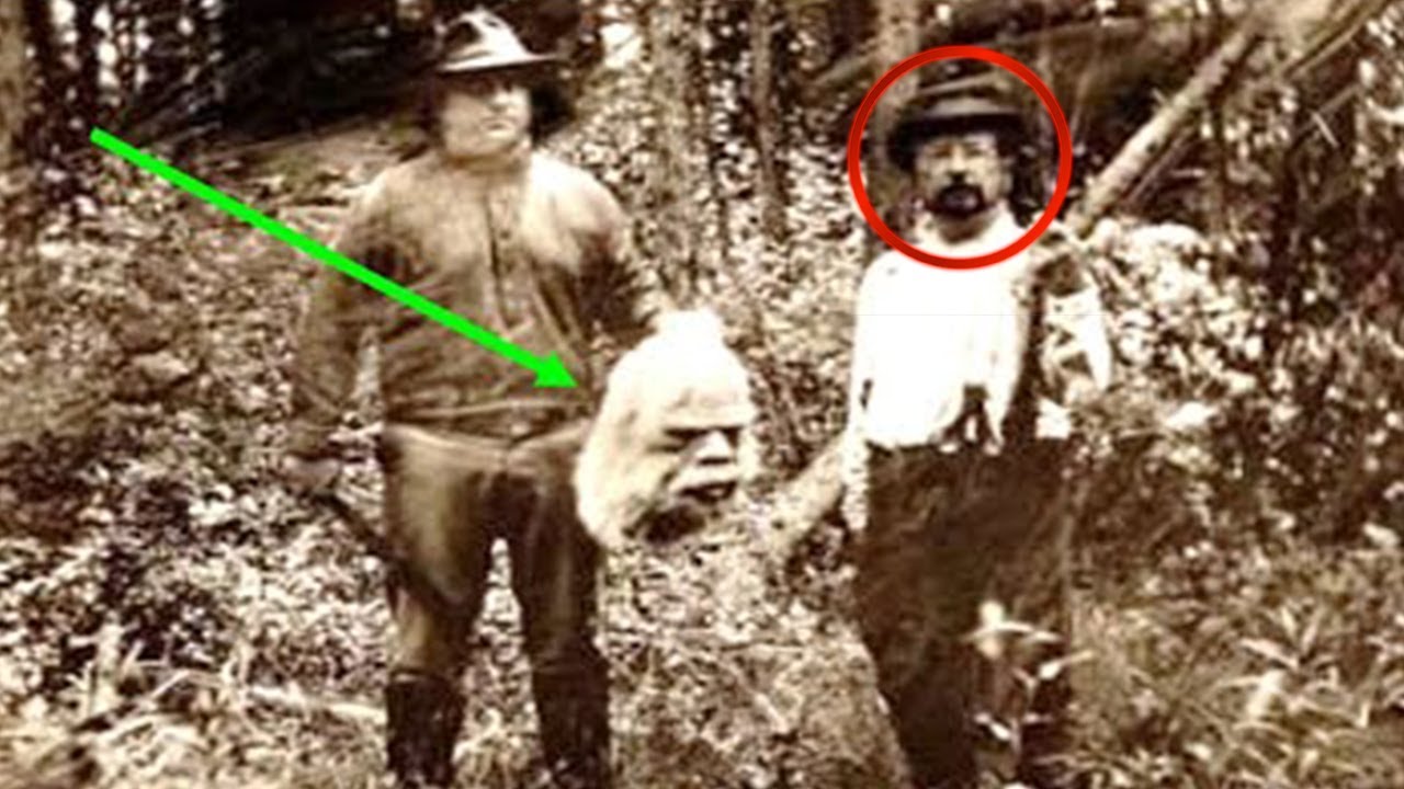 Povești Dincolo de Realitate:  Cele Mai Misterioase Experiențe de Război