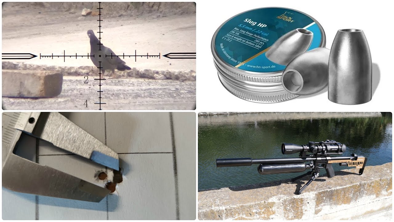 Shooting Pigeons with H&N Slugs and the Prophet .22