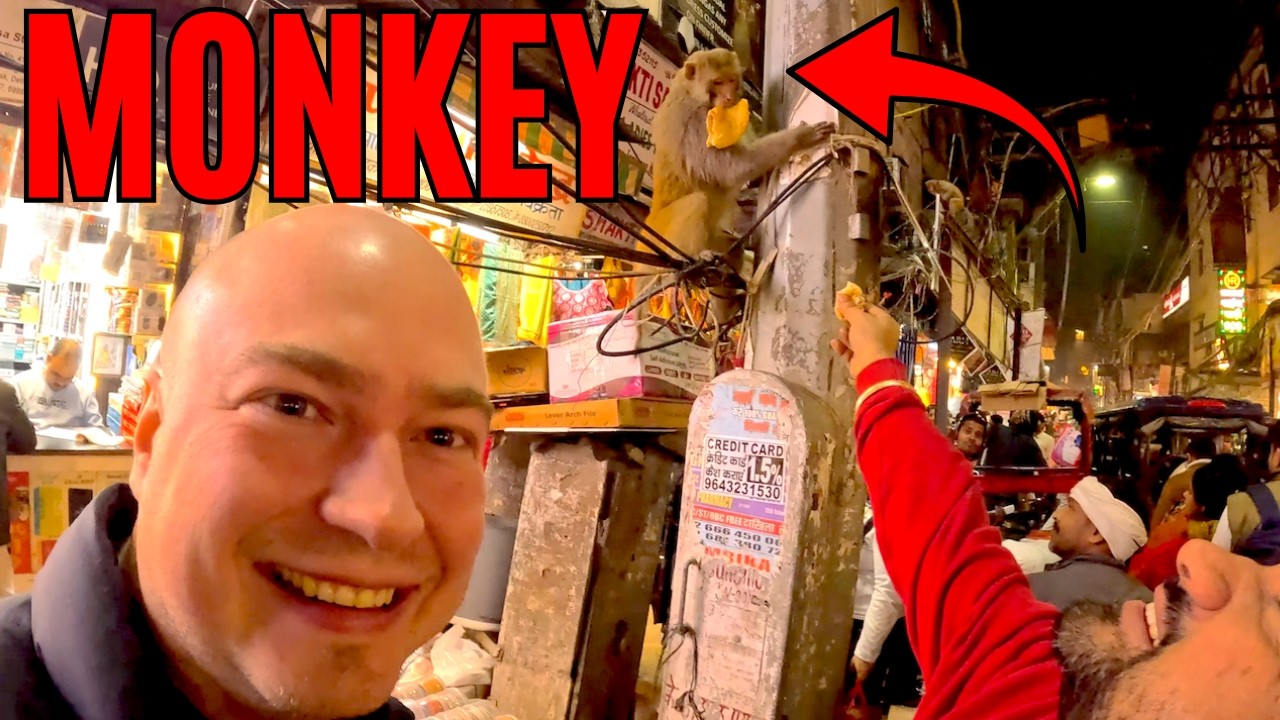I Fed Monkeys in India's Biggest Market!