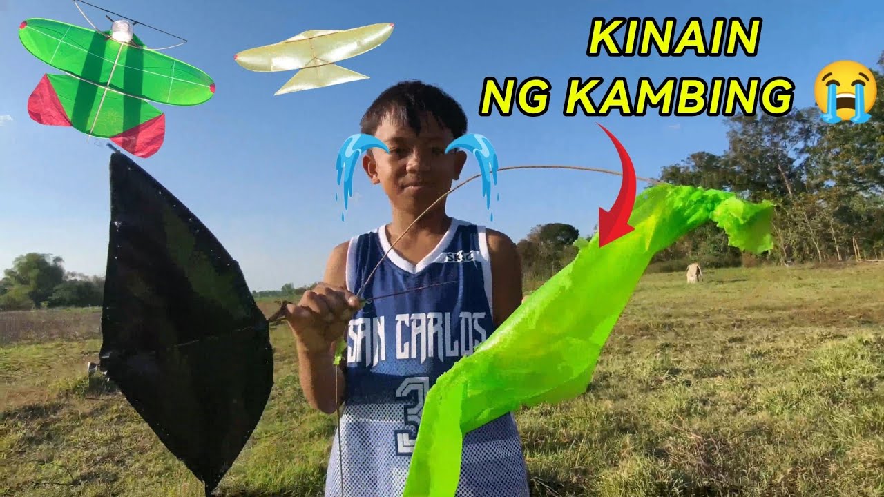 KINAIN NG KAMBING ANG SARANGGOLA NI TOTOY BROWN 😭