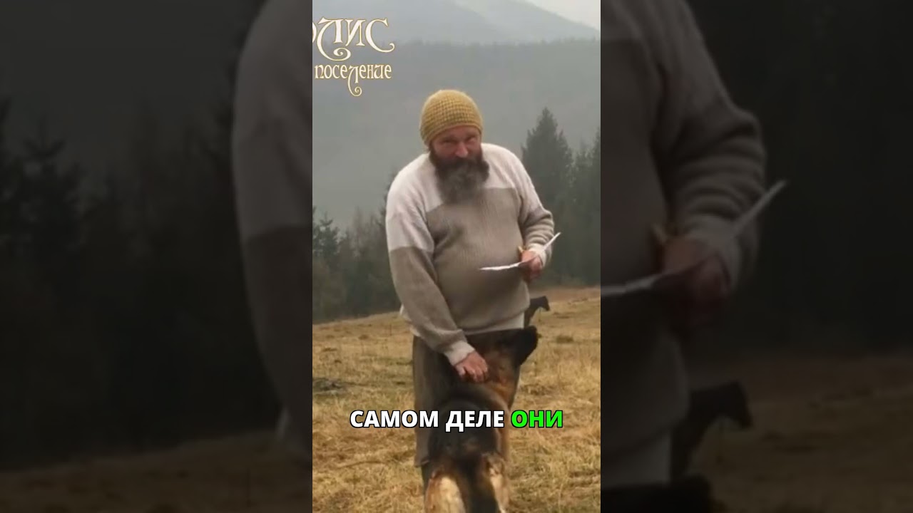 Снос памятников: древнее преступление и война