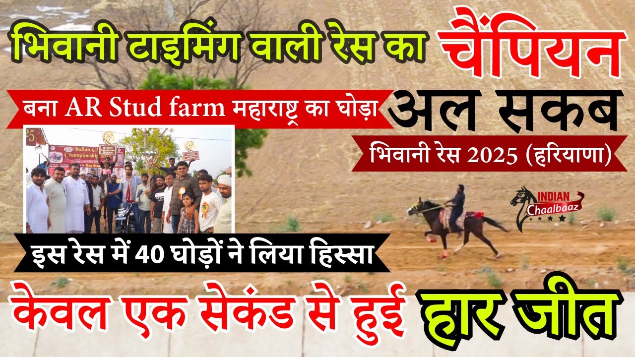 टाइमिंग वाली रेस का चैंपियन बना महाराष्ट्र का घोड़ा अल सकब एक सेकंड से हुई हार जीत Bhiwani Race 2025
