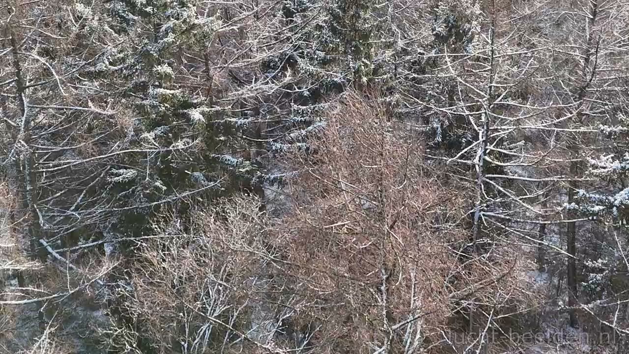 lucht-beelden.nl - Winter in de Achterhoek (Groessen, Kilder en Zeddam)– Dronebeelden