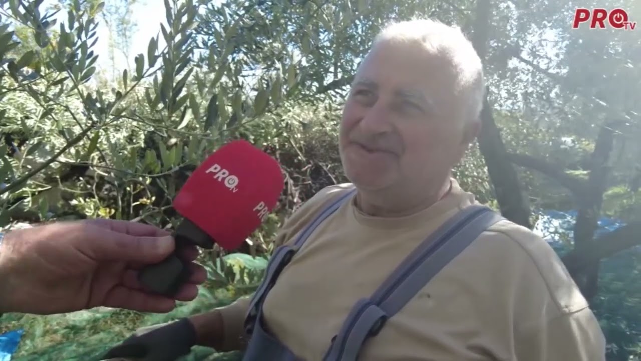 Kamen krš i maslina!!!
