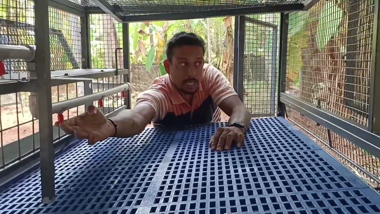 60 High Tech Hen Cage Malappuram super ❤️