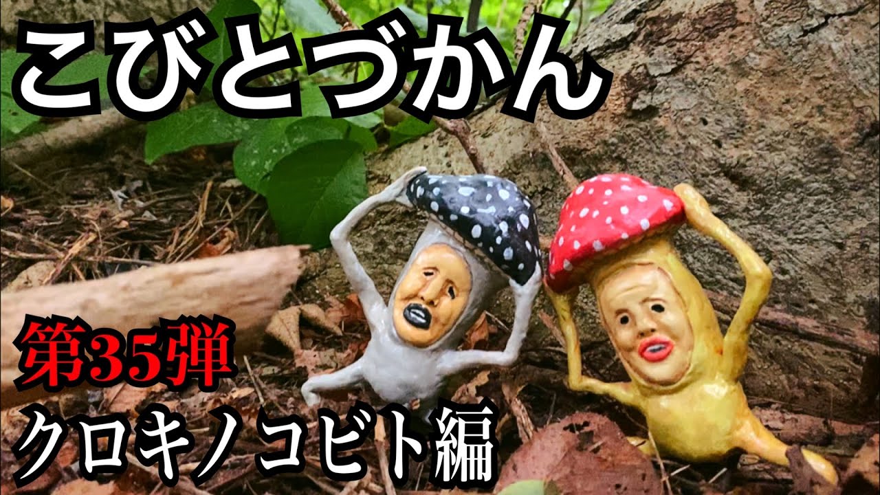 【こびとづかん】クロキノコビト見つけるまで帰れま10！！！