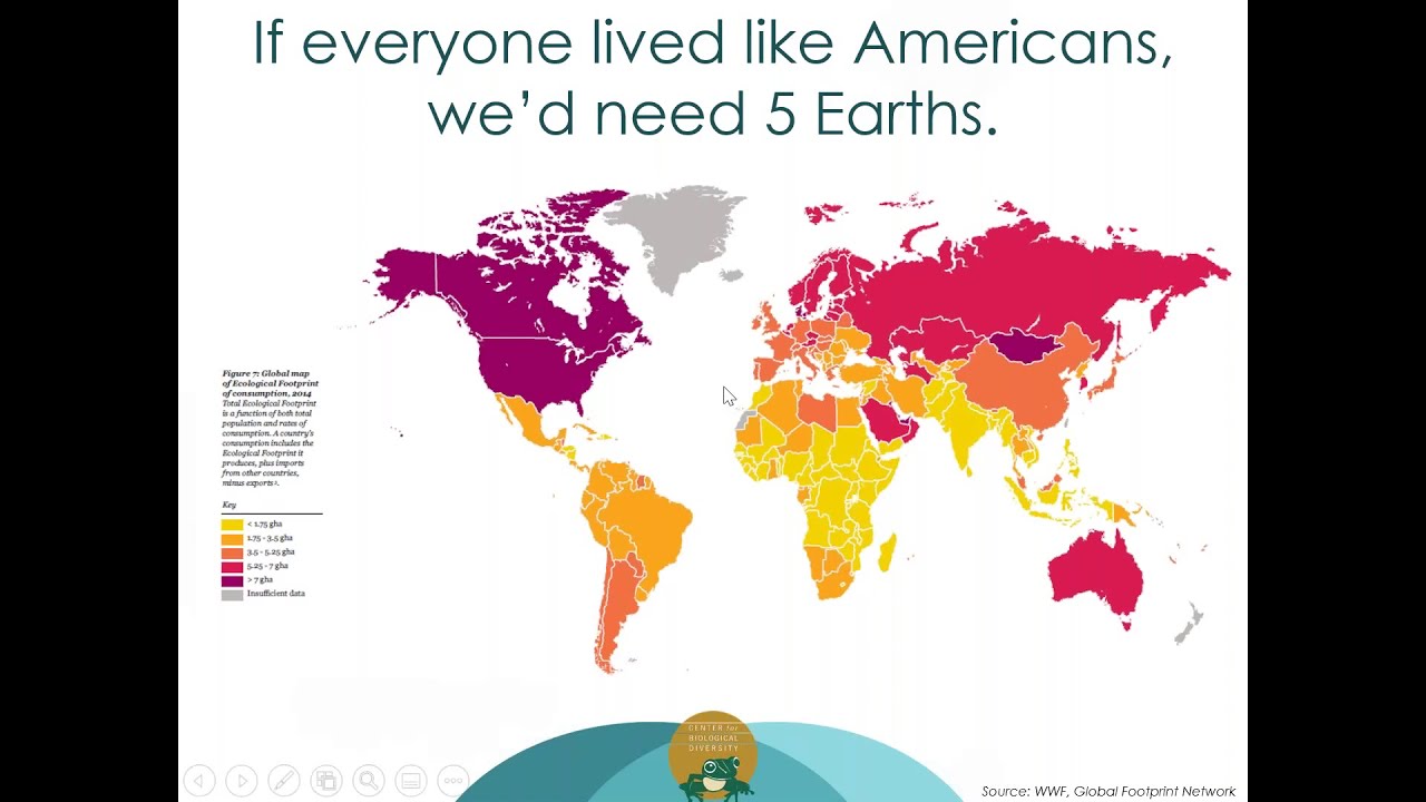 Waste Reduction: National Survey Results & Campaign Solutions that Look Upstream