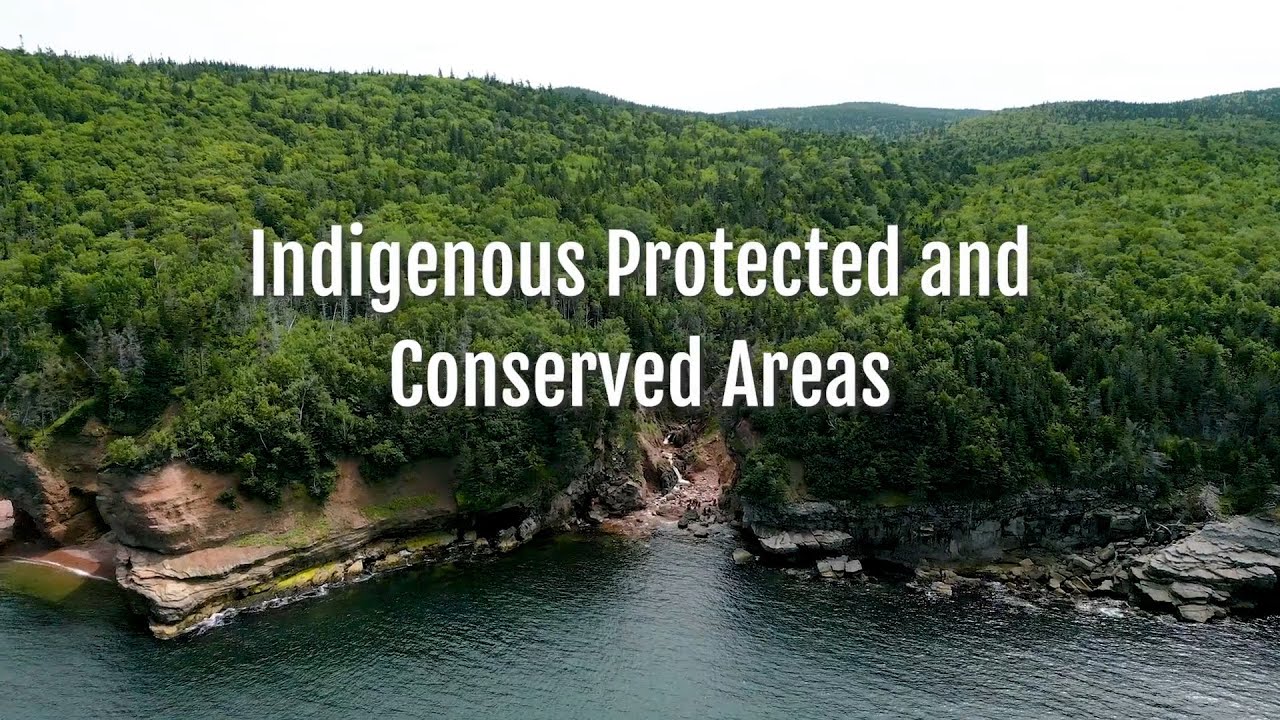 Indigenous Protected and Conserved Areas