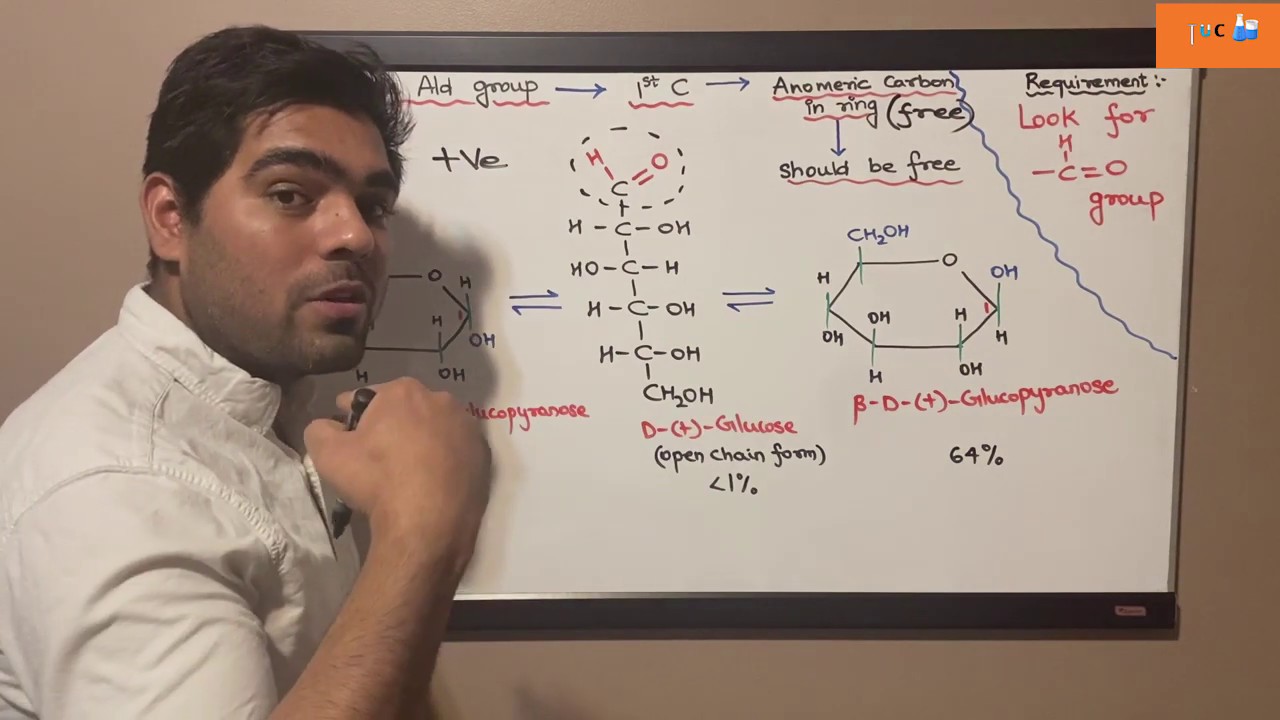 Reducing and Non-Reducing Sugar || In Detail Explanation || By TUC || By Ashish Sharma