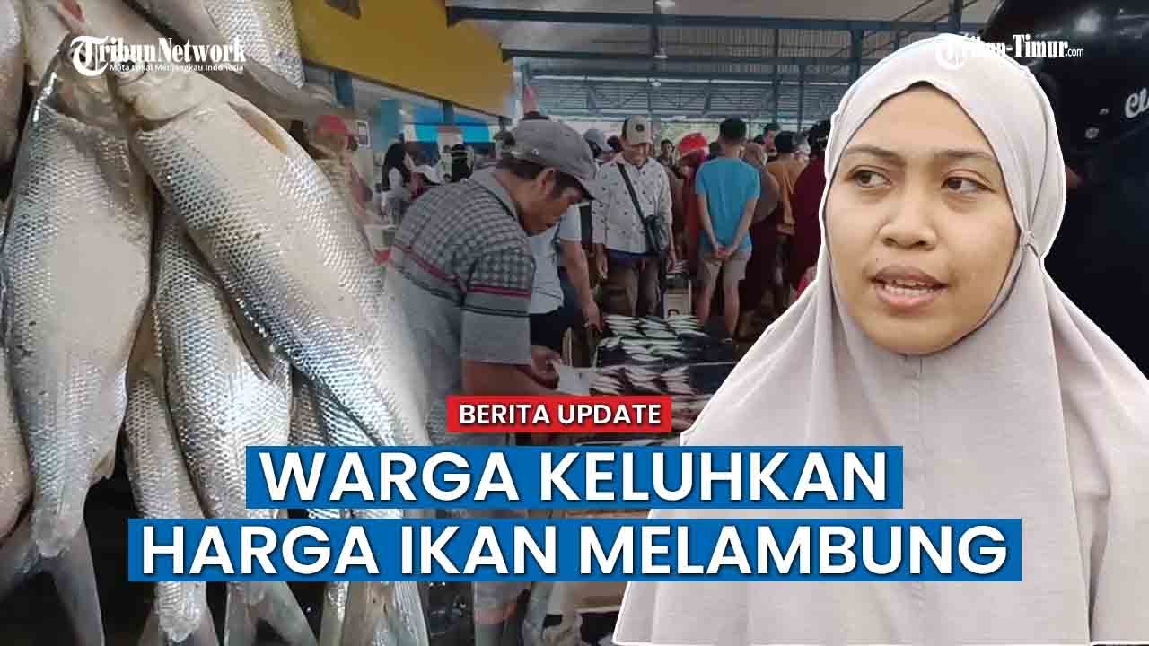 Harga Sayur dan Ikan Alami Lonjakan Pasca Banjir di Maros , Ikan Air Tawar Capai Rp75 Perkilogram