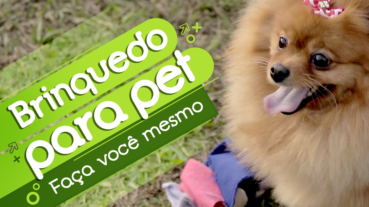 Brinquedo para seu pet: faça você mesmo! ;)