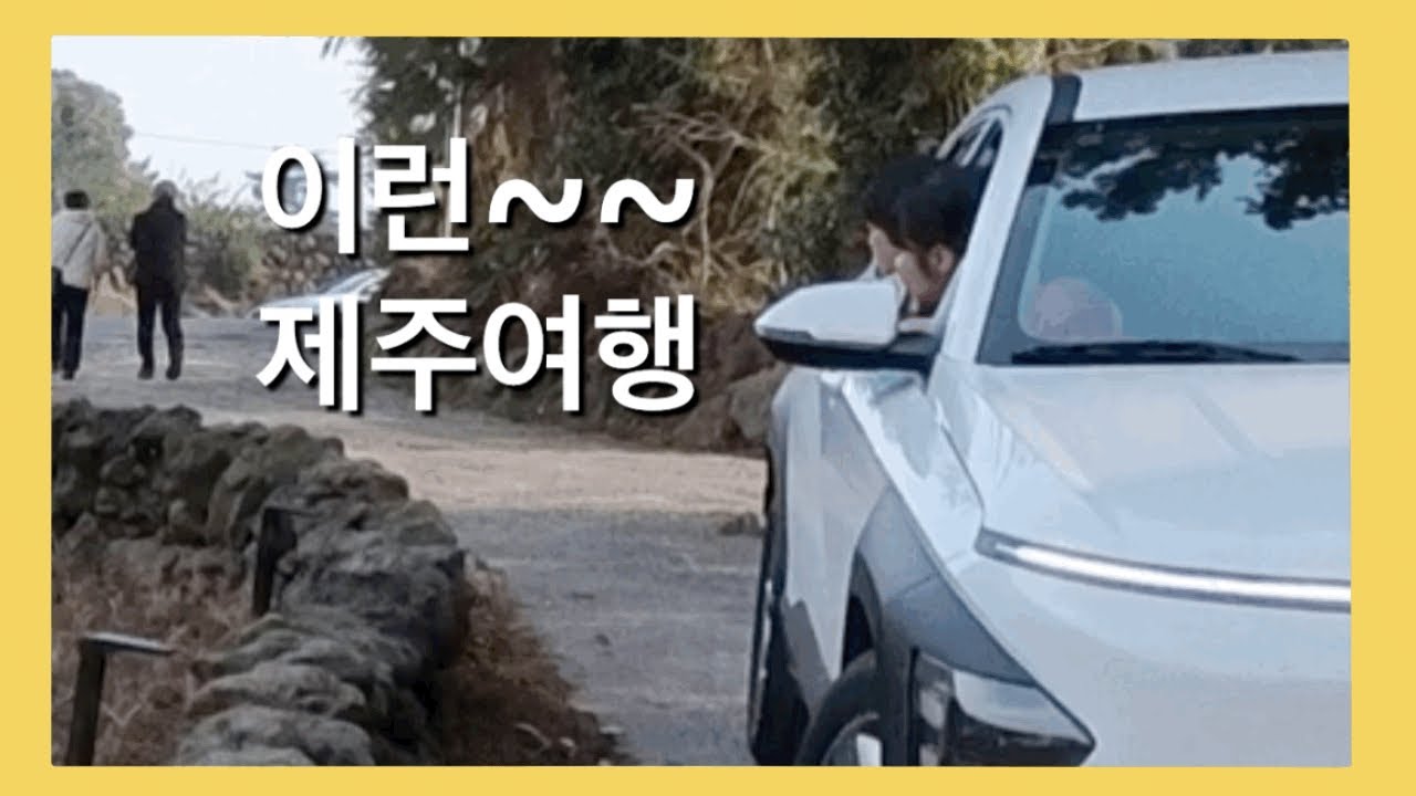 제주여행2 / 초보운전자 도와주기_카페담소요 오리구경/ 로컬찜뽕맛집_물질식육식당 / 효돈감귤박물관