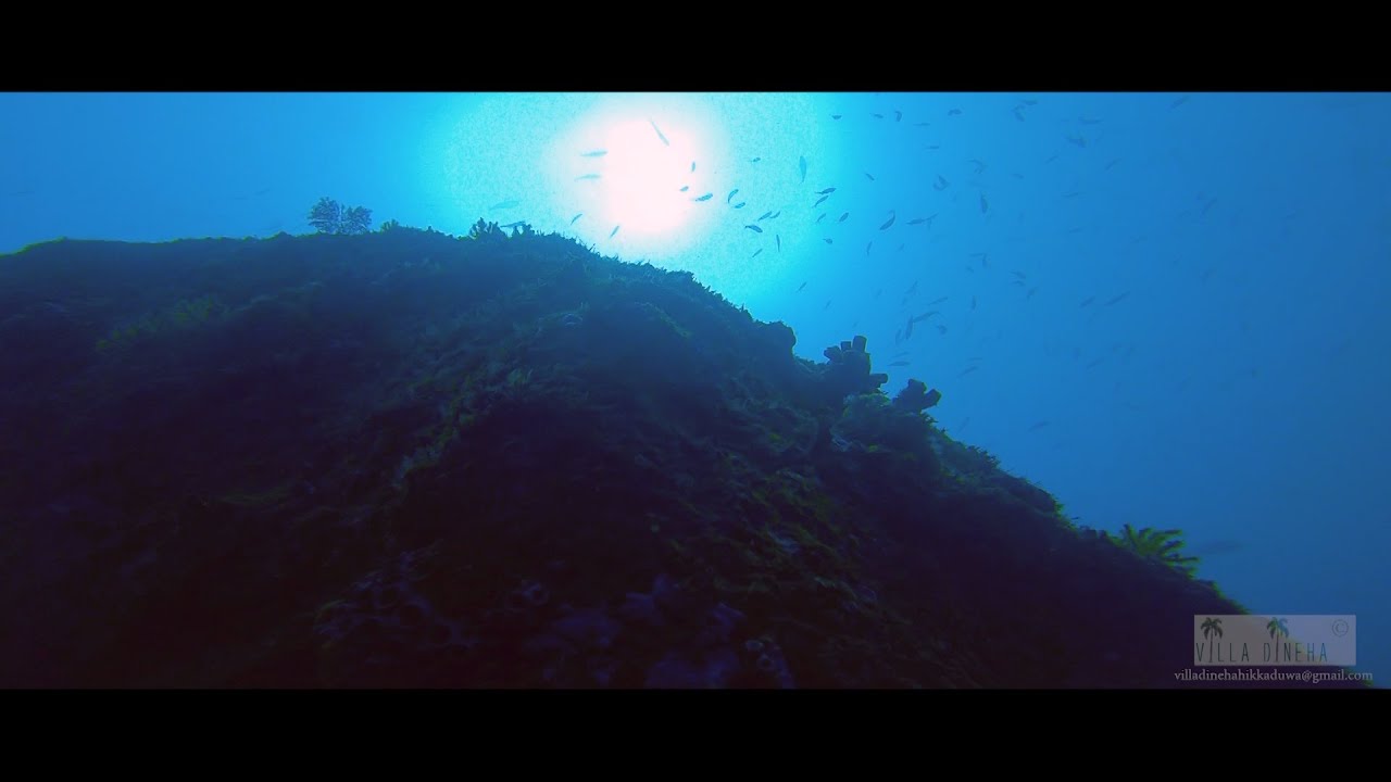 Diving Experience at Hikkaduwa-