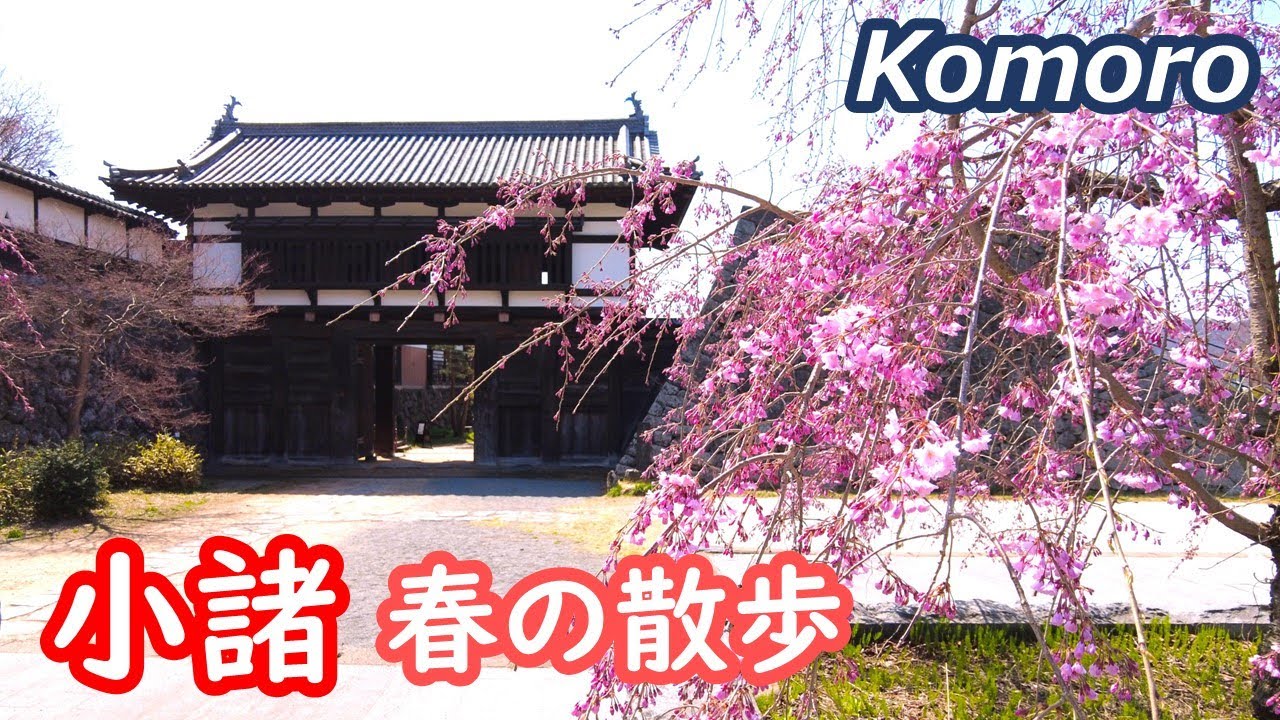小諸市を散歩　北国街道の小諸宿を歩き、小諸城跡 懐古園で花見を楽しむ KOMORO NAGANO Japan｜シニア・長野移住ライフ｜田舎暮らし vlog 121