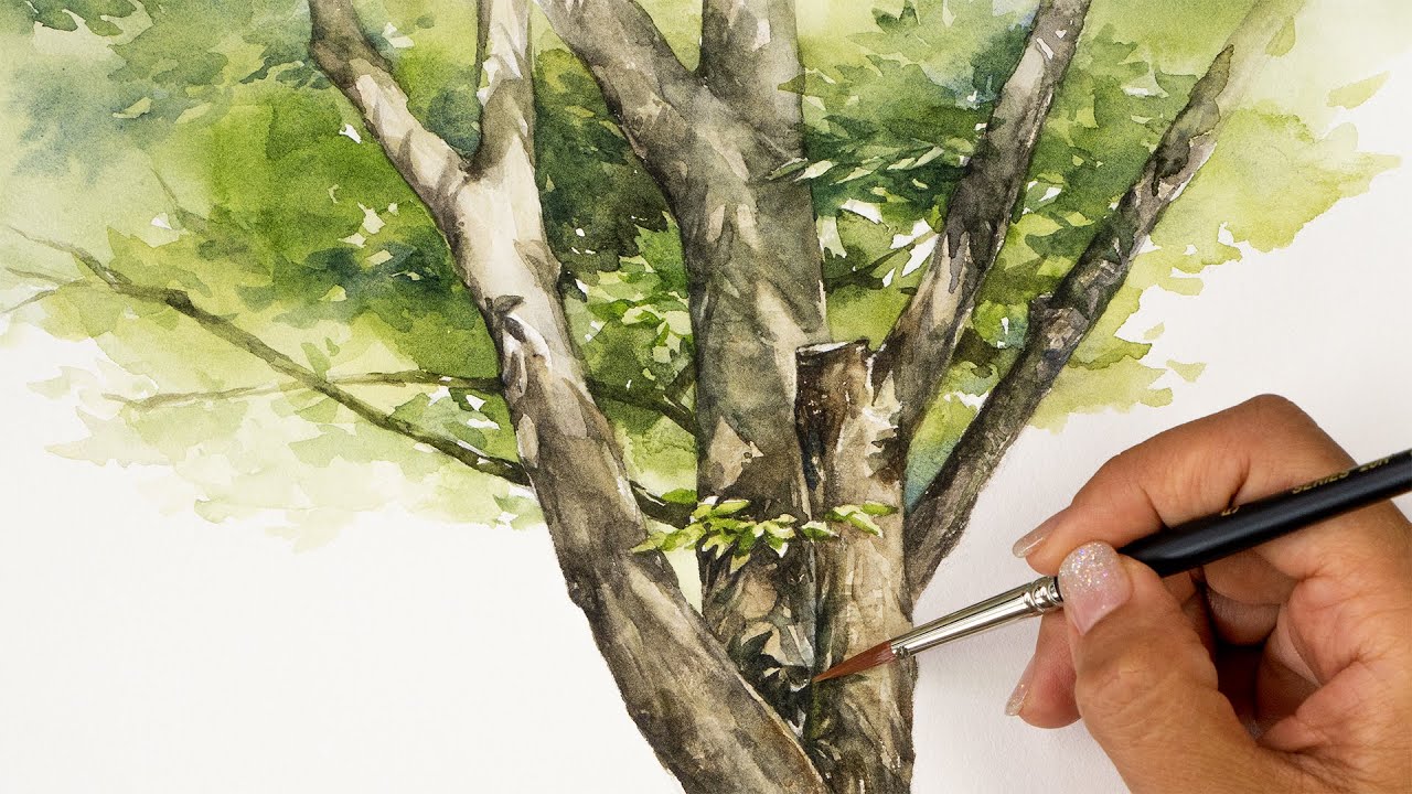 Watercolor Tree Painting | A Shaded Tree