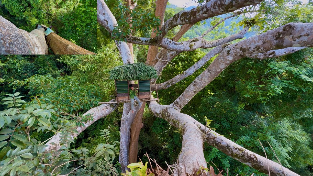 Build the tallest tree house in the forest – Ultimate survival challenge! , part 2
