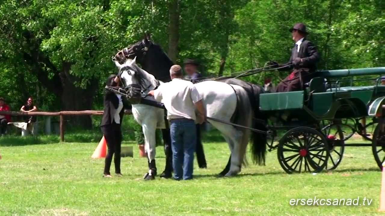 Érsekcsanád- Szabadidőpark: Fogathajtóverseny 2012. május 27.