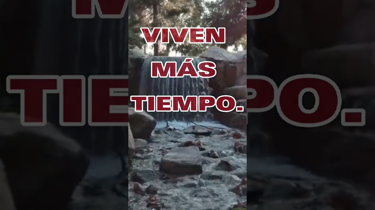 Energia Universal #viral #shorts #registrosakashicos  #familia #superacionpersonal #infinity