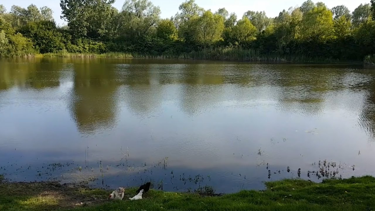 Prirodna bogatstva Brodsko-posavske županije : 2.Bara Bebrinica
