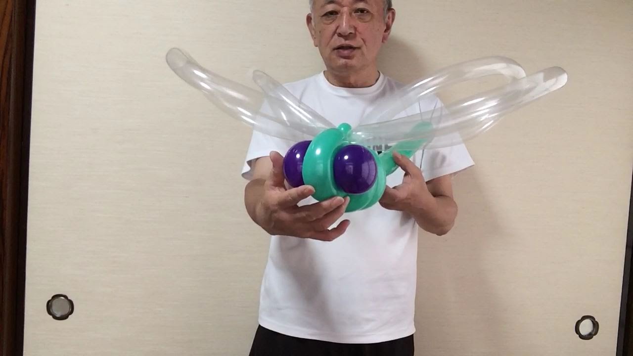#0058 蜻蛉 a balloon dragonfly