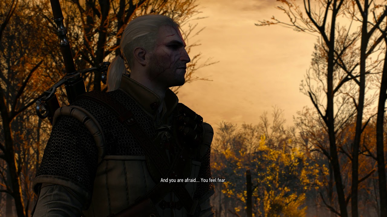 Witcher 3 Geralt vs Weavess [4K 60fps]