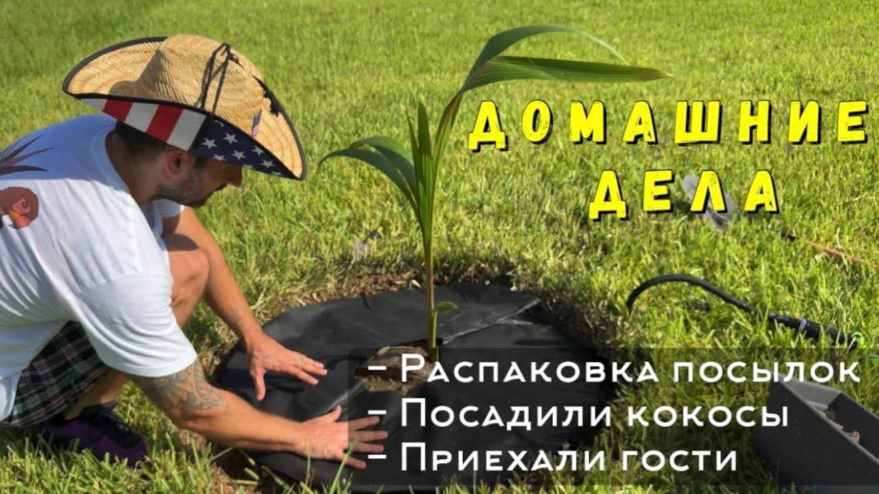 Домашние дела / Посылки/ Посадили кокосы / Приехали гости
