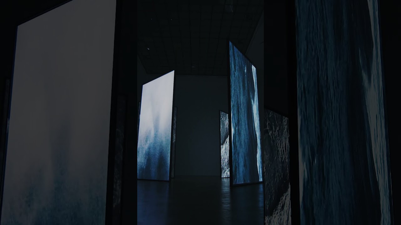 Sums & Differences: Steina & Woody Va&scaron;ulka