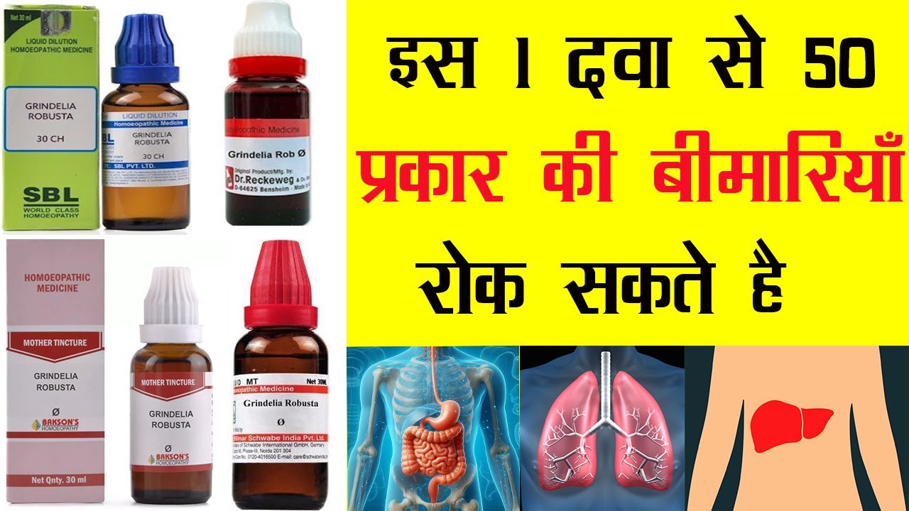 Grindelia Robusta | Homeopathic Medicine | 1 दवा से 100 बीमारियों से बचा जा सकता है