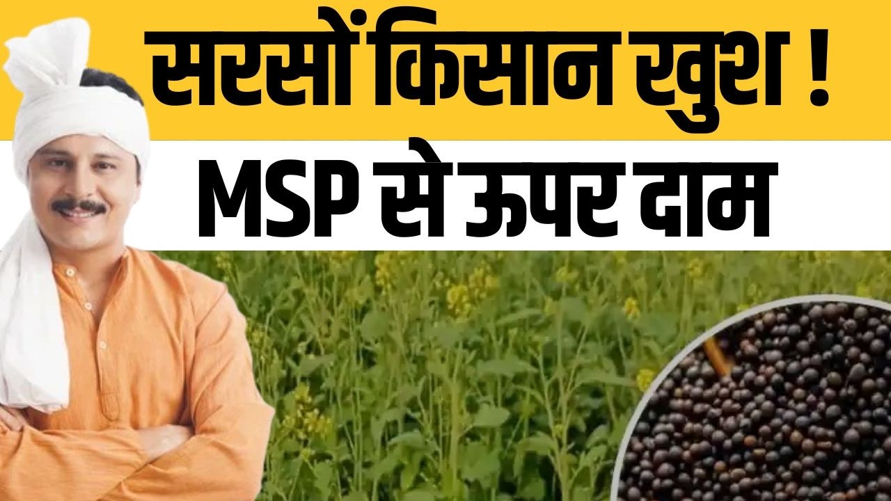 Mustard Farmers Profit from Global Oil Crisis | Sarson Prices Surge | Market Times Tv