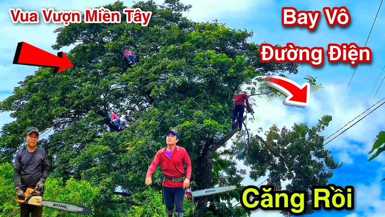 Mạo Hiểm Cực Kỳ Vua Vượn Cưa 2 / 3 Cây Còng Cạnh Điện Mé Sông Phần Đầu