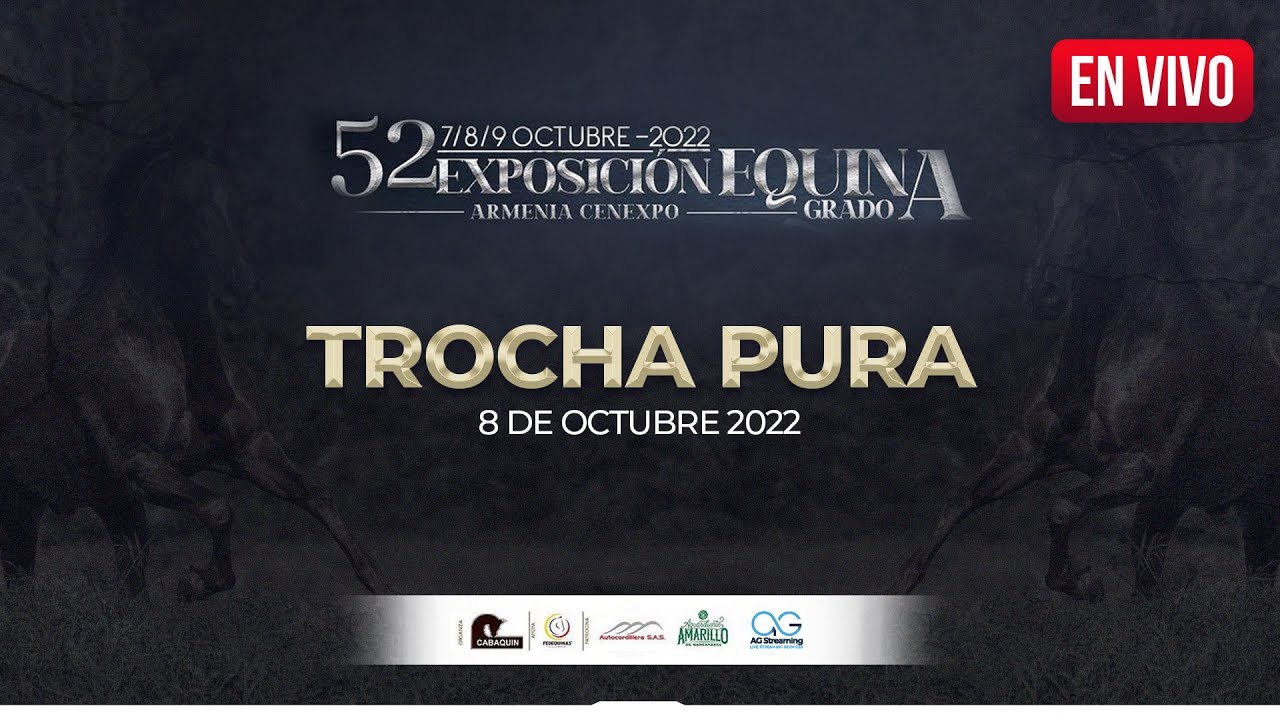 52 EXPOSICIÓN EQUINA GRADO A CABAQUIN. DIA 2 TROCHA PURA