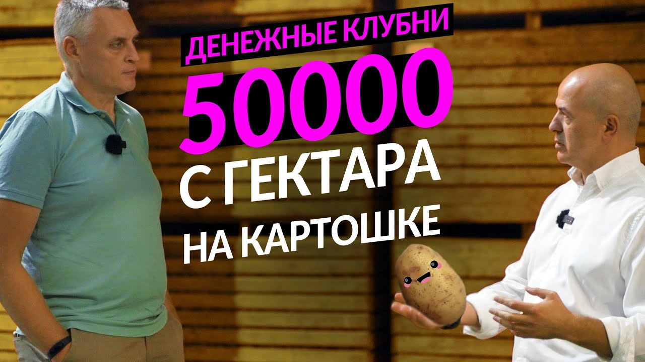 Как правильно выращивать картофель, чтобы заработать миллионы. Опыт Агрико