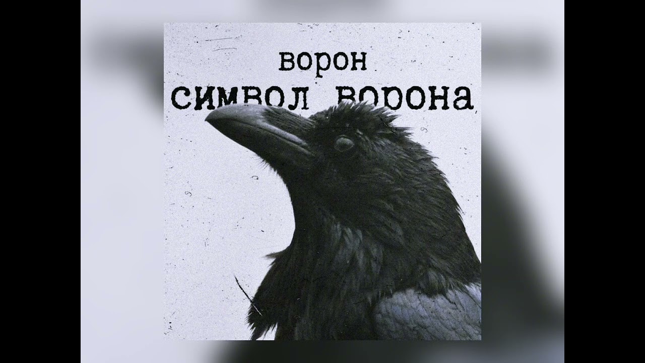 Ворон - символ ворона