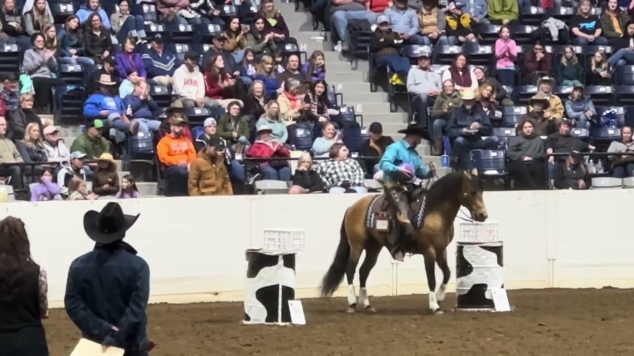 Docs Gay Gold Digger competing at Equine Affaire Ohio 2024 in Versatile Horse and Rider. 