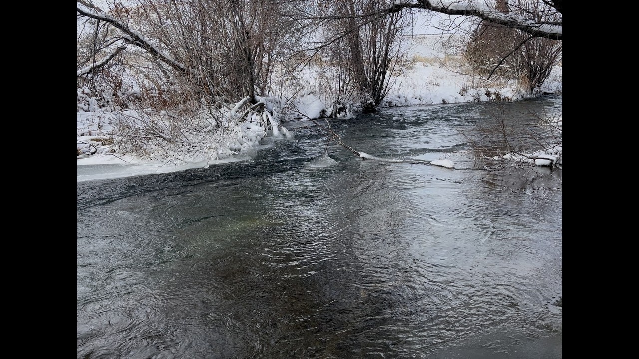 Birch Creek One Hour Loop | White Noise