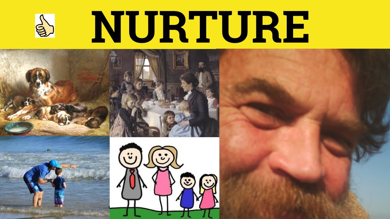 🔵 Nurture - Nurture Meaning - Nurture Examples - Nurture Definition - GRE 3500 Vocabulary