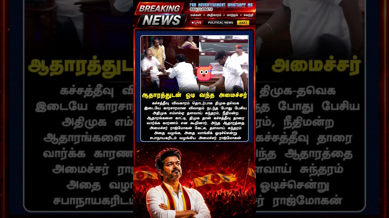 TVK || manadu #thalapathyvijay #thalapathy #youtubeshorts #shorts #fyp #vijay#jananayagan#cmvijay ✨💞
