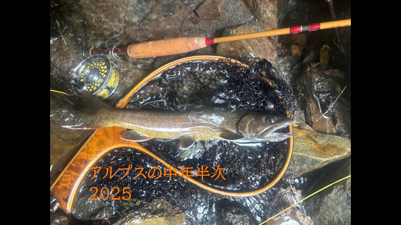 アルプスの中年半次2025
