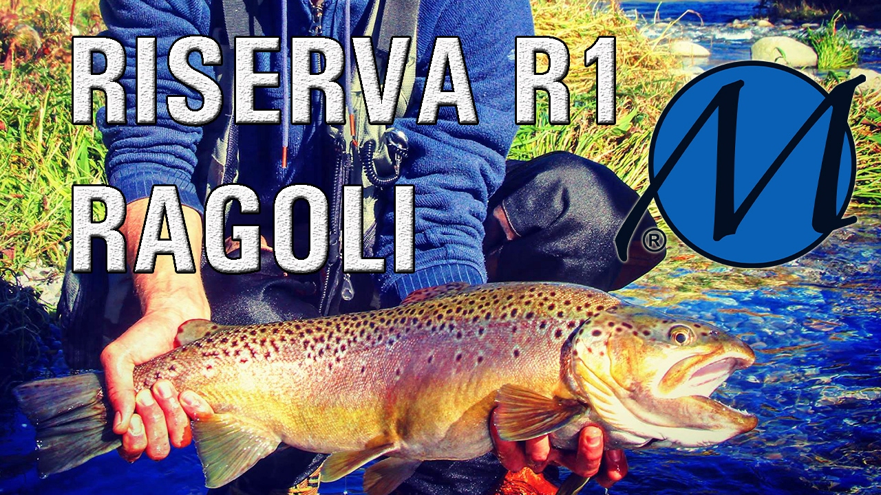Pesca in Val Giudicarie - Alto Sarca -R1