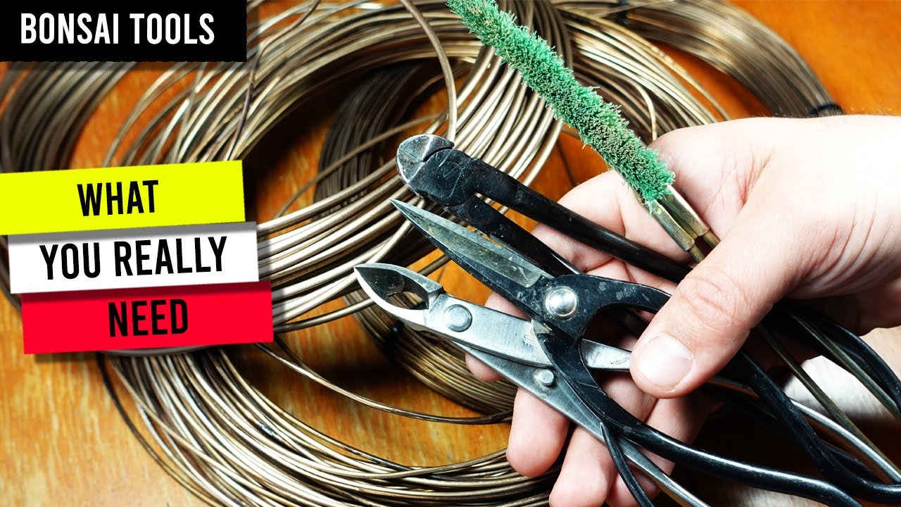 Bonsai Tools: What You ACTUALLY Need