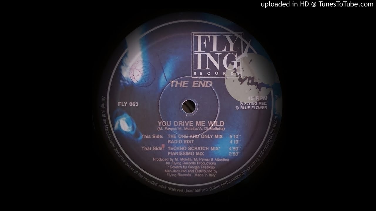 THE END - YOU DRIVE ME WILD (ONE AND ONLY MIX)