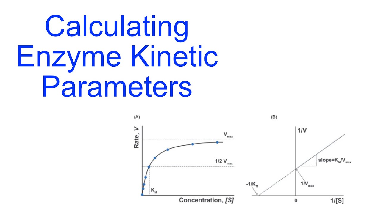 Calculating Kinetic Constants